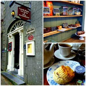 University of Limerick Tea Trip