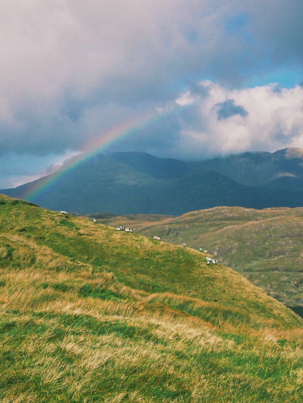 Travel in the Moment: The Instagram&nbsp;Traveller