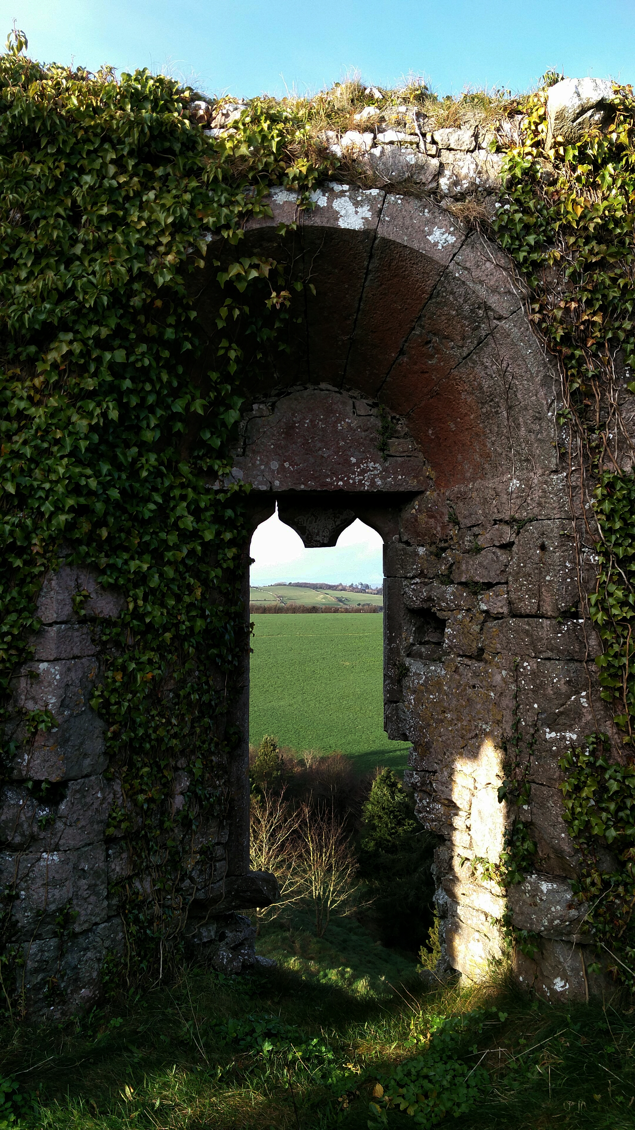 2 – Study Ireland – Stories & Guides from International Students