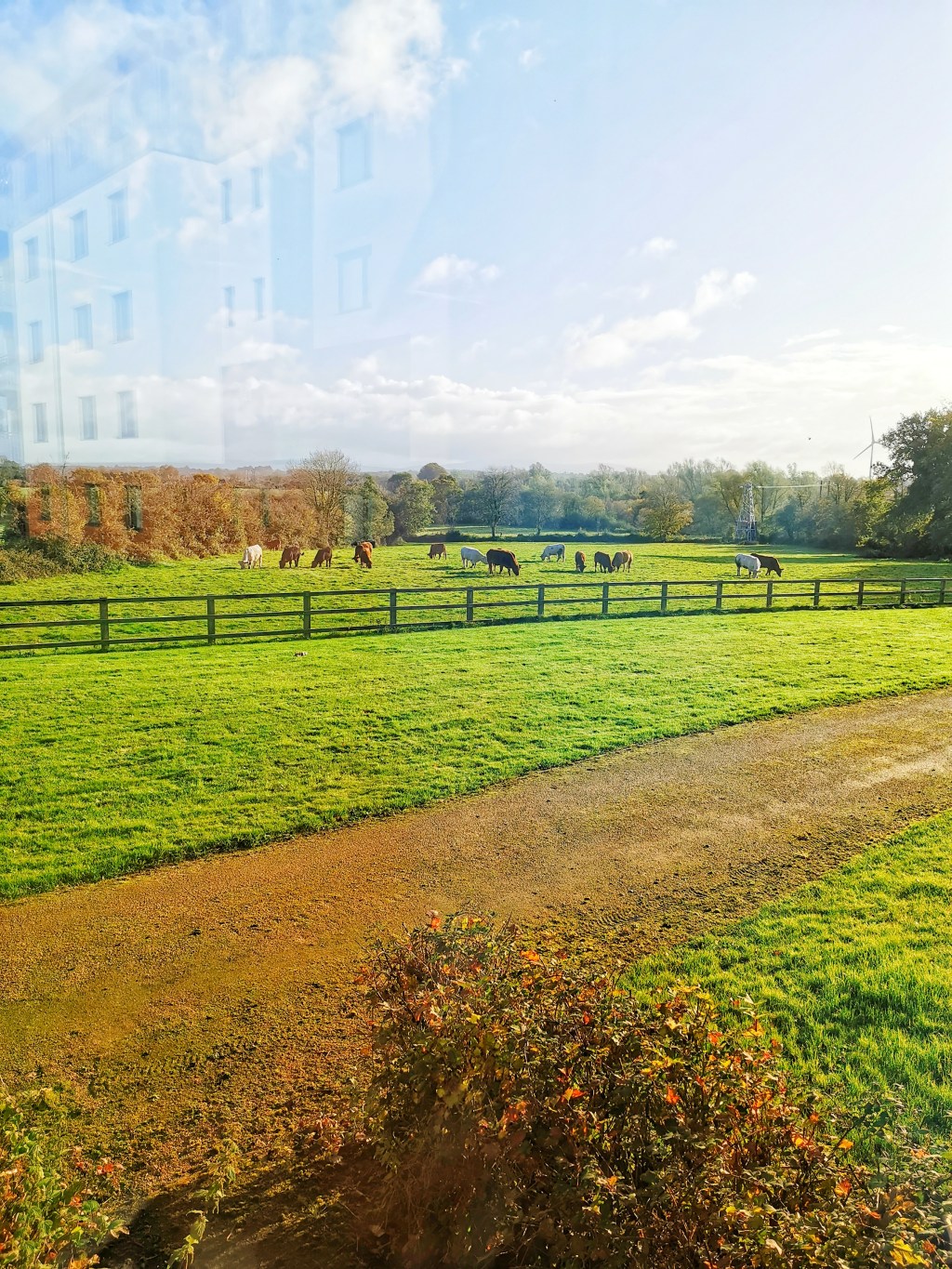 5 things I wish I knew before moving to&nbsp;Limerick