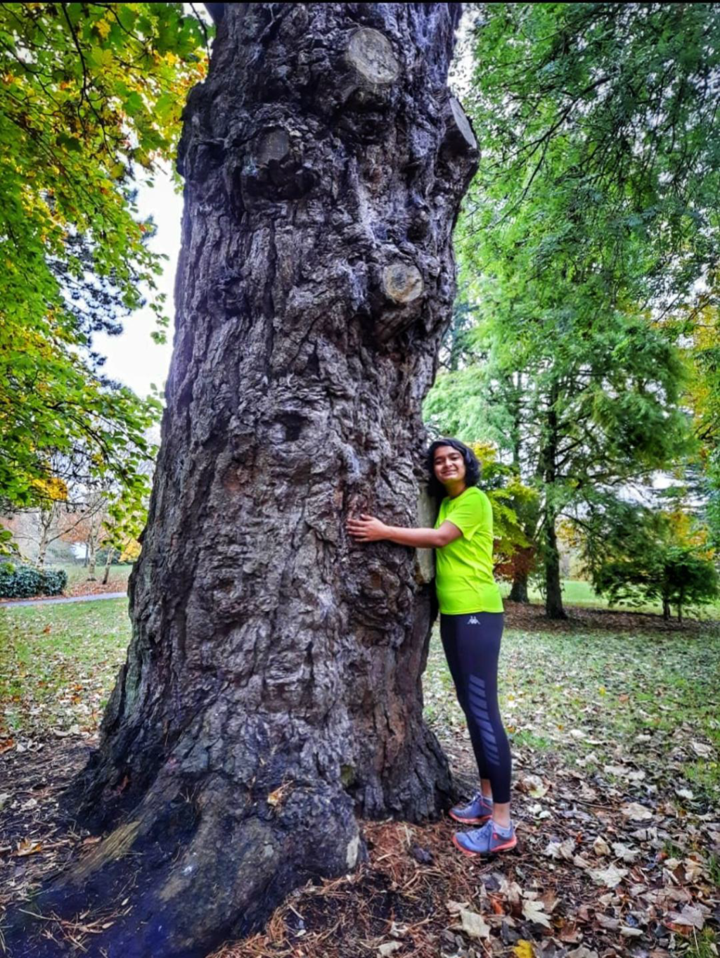 My First Experience of&nbsp;Limerick