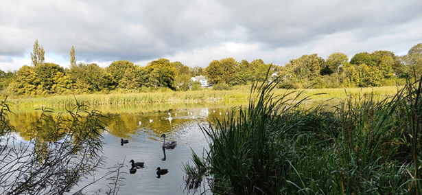 A Day in Limerick with less than&nbsp;€10
