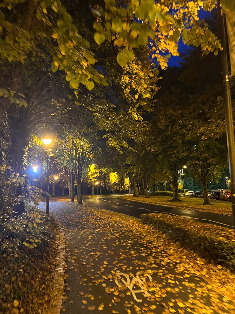 A picture of a pedestrian path in UL at night, covered in autumnal leaves fallen from nearby trees