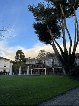 The courtyard behind Plassey House