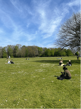 Green outside Plassey House