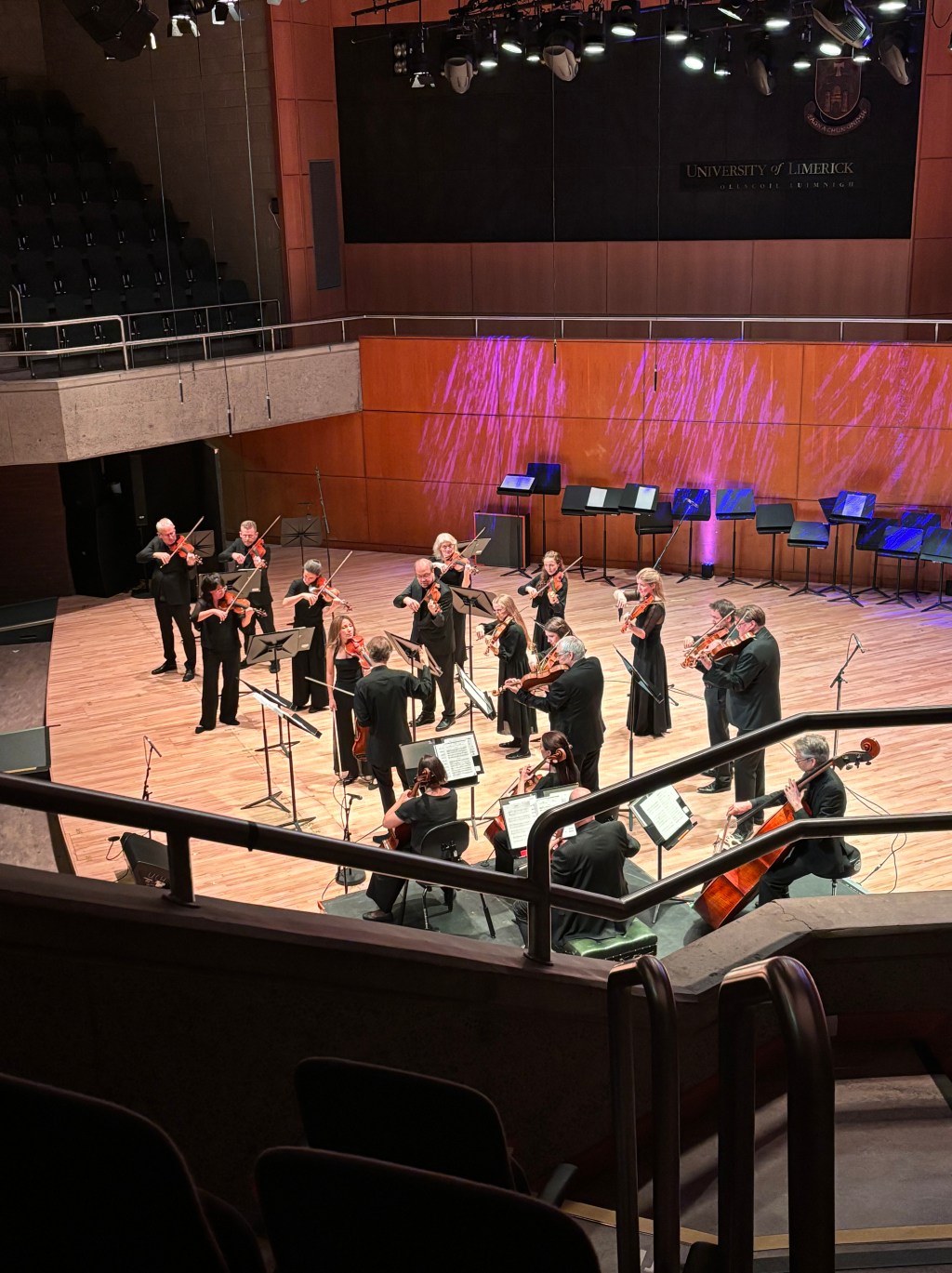 A Look into the Irish Chamber&nbsp;Orchestra