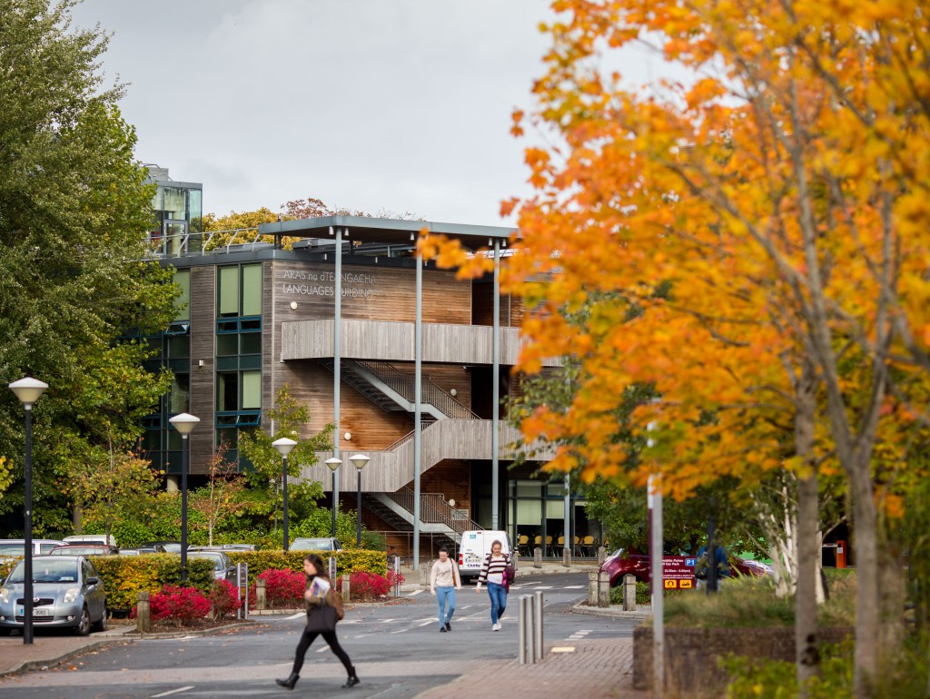 The languages building at UL during Autumn
