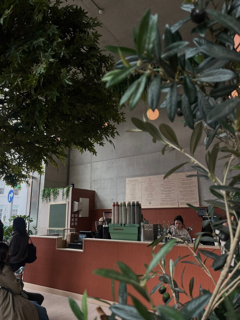 The counter at Babylon