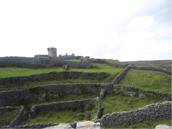 Ruins on a green landscape