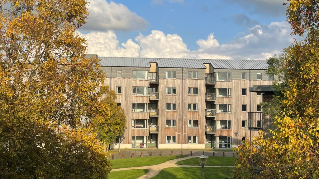 The view from my room in Dromroe Village on a sunny day, framed by autumn trees