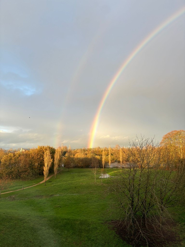 View from Maddox's window of greenery and a rainbow.