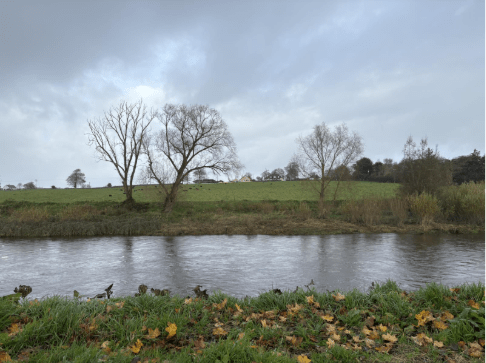 This image shows a view of the river maigue from  the river walk in Adare
